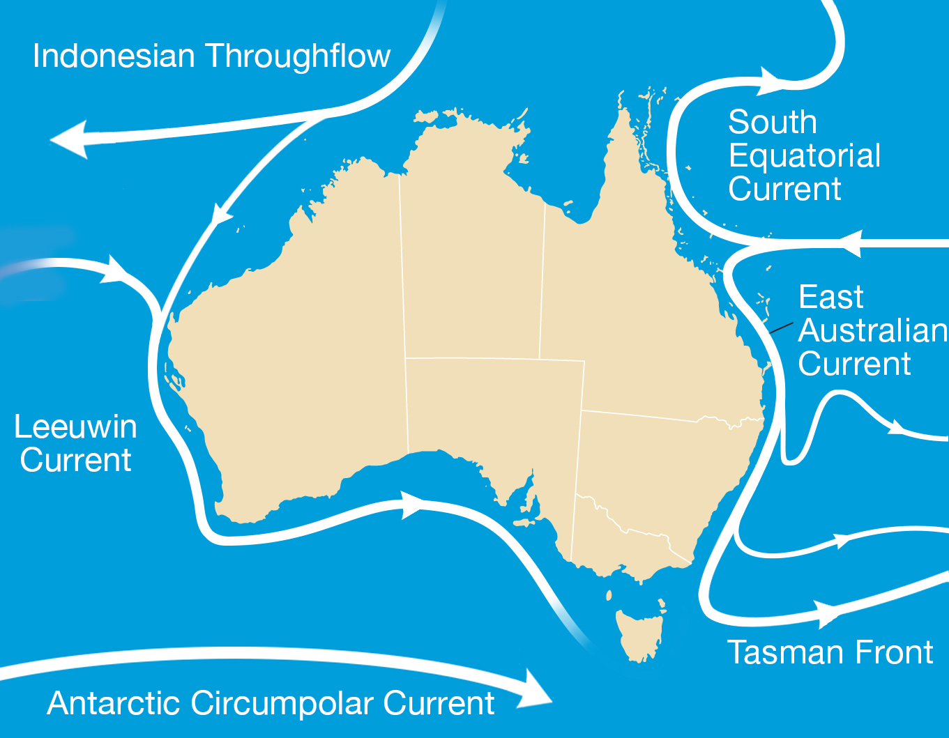 Map of Australia showing the major ocean currents that surround it and their direction of flow.
